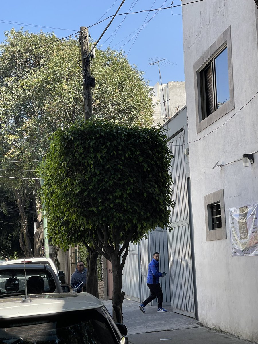 chepeshepe's tweet photo. Esta bodega de cerveza en Alhambra 819 Portales sur sigue utilizando la calle como patio de maniobras obstruyendo las banquetas, les haces saber lo que pasa y se ponen violentos en especial ese de azul @inveacdmx  @SSC_CDMX @UCS_GCDMX @OVIALCDMX @BJAlcaldia @LuisMendozaBJ https://t.co/1buWiJeafb