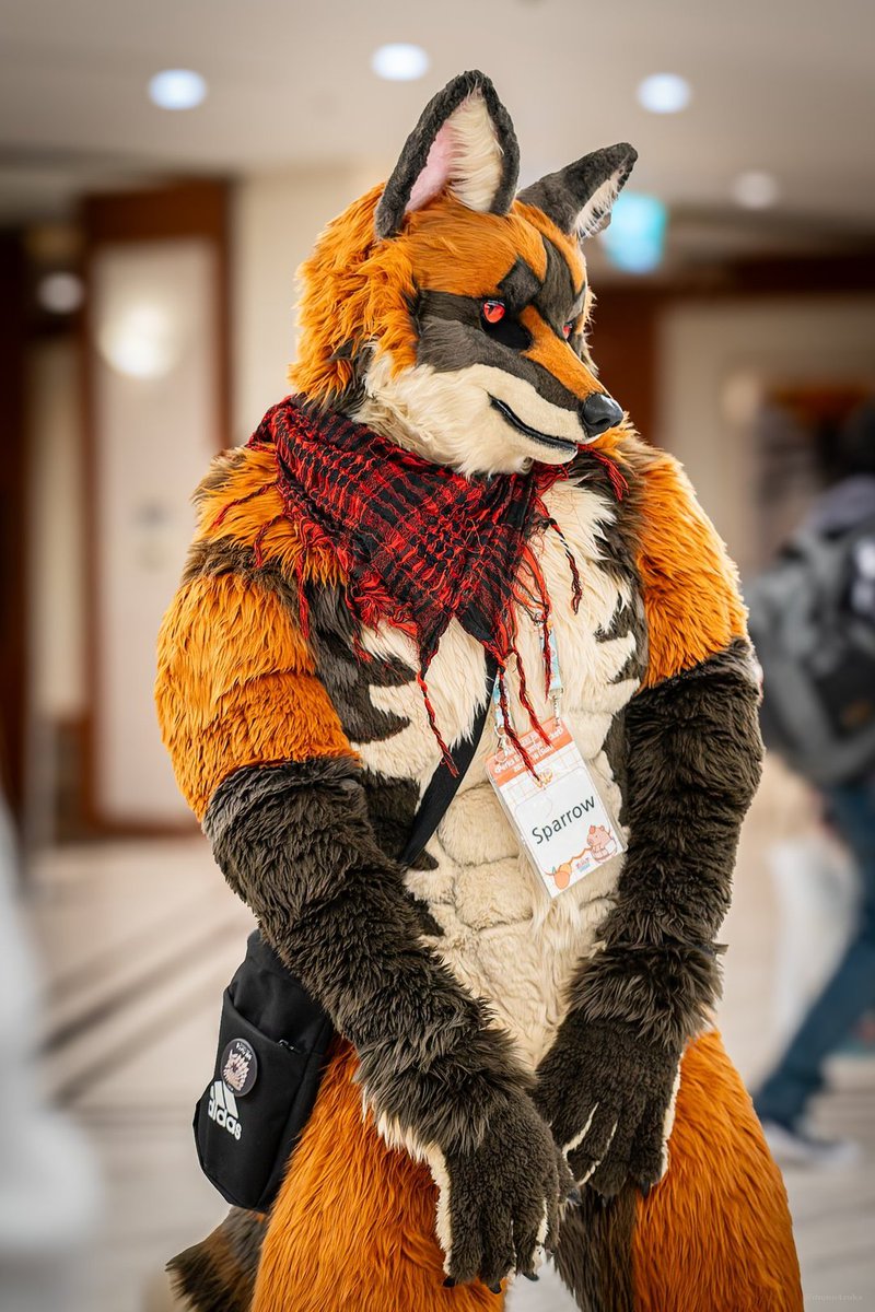 #FursuitEverday 
나 이뻐? 🤭🤭
📷 <a href="/mono4zuka/">ものし塚🇰🇷FurstClass</a>