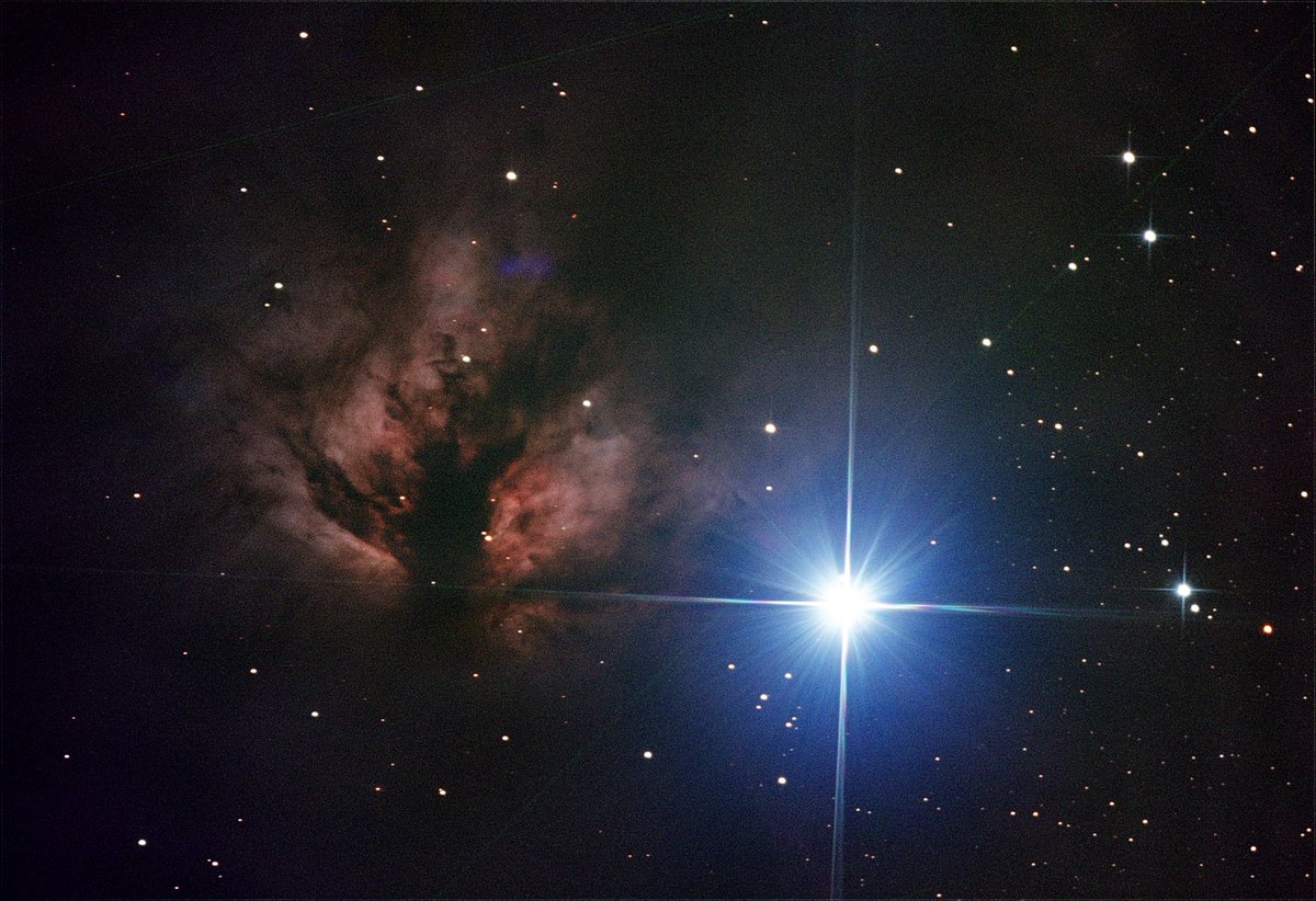 astro!! tweet media