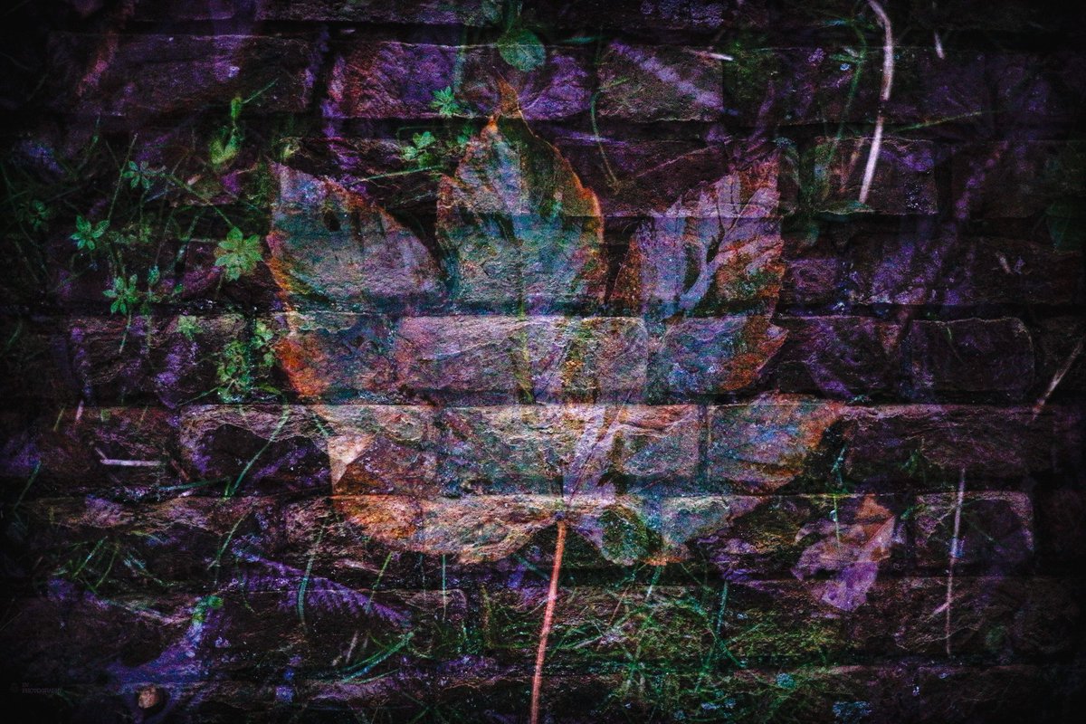 Wanted to try multiple exposure. TBH, it was kinda dark and I really wasn't expecting a lot.