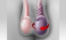 TrackYourHeart's tweet image. What is your diagnosis?