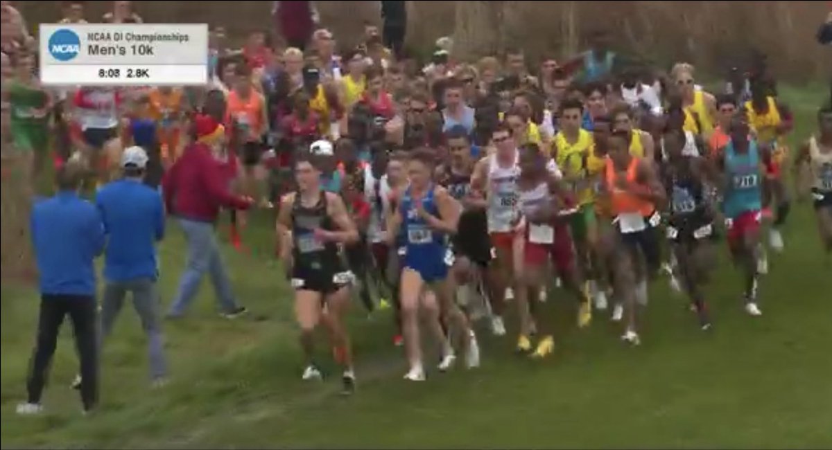 Mac Fleet tweet media