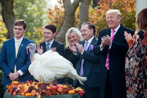 ArtisanAles1's tweet image. Pardoning a turkey is a nice presidential tradition and Trump does it best.