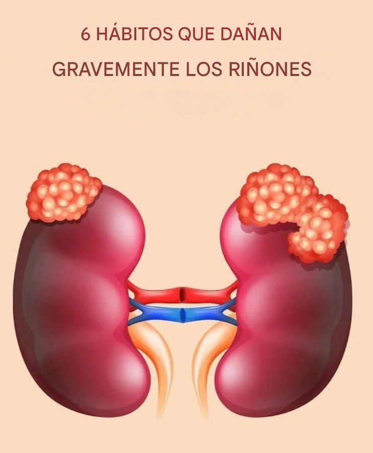6 Hábitos que DAÑAN (gravemente) tus RIÑONES...

HILO 🧵