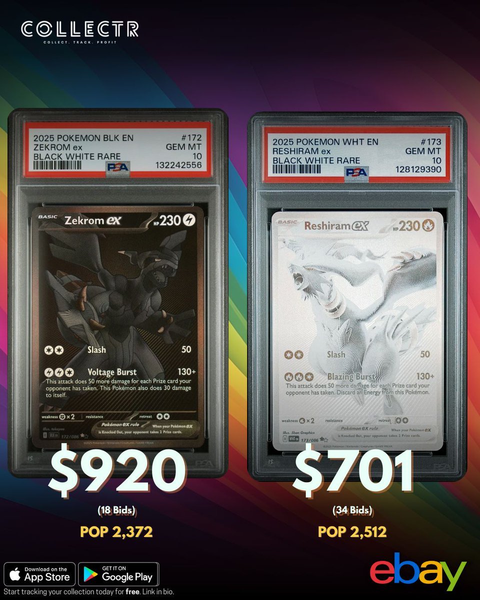 11月12日の記事で分析した通り、完全にゼクロムBWRがレシラムBWRを