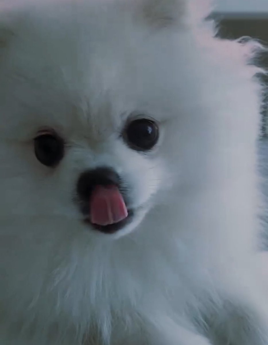 Moo .. (@s0molog) on Twitter photo 