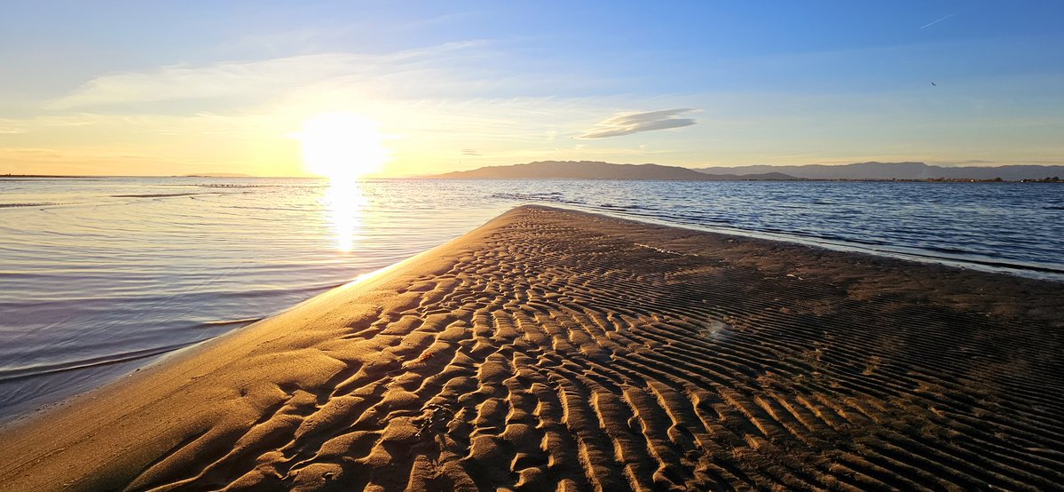 sandrambcrocs's tweet image. El paradís de la fotografia