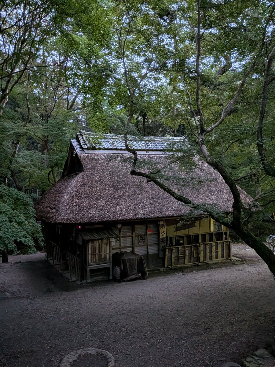 おはようございます🐣
昨日の解答は2、イカでした😄
（正答率99％）

セリーヌ・ディオンとピーボ・ブライソンが主題歌を歌ったディズニー映画はどれ？

1、リトル・マーメイド
2、美女と野獣
3、アラジン
4、眠れる森の美女

今日も宜しくお願いします🐣