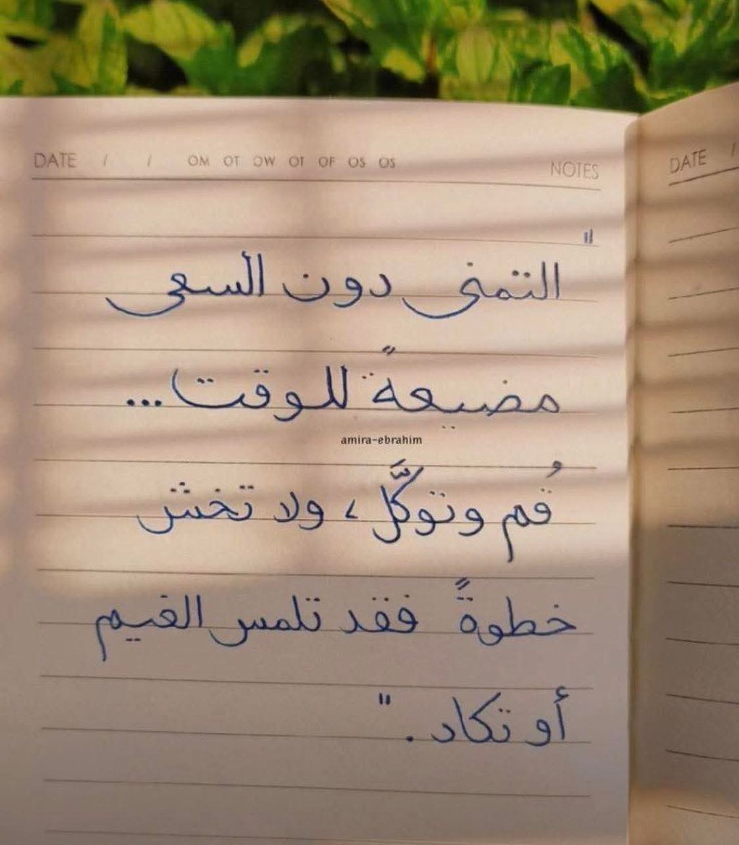 Mostafa37989953's tweet photo. https://t.co/ma8ynwFnut