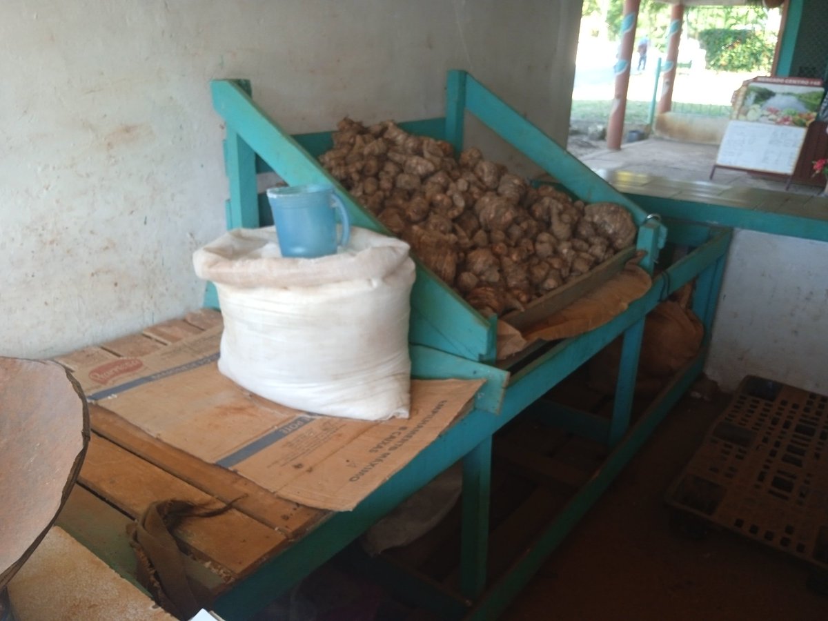 DaniloEstr42753's tweet photo. Se continúa garantizando la presencia de productos agropecuarios en el mercado centro y sus putos de ventas en el municipio.
#Guane
#PoderPopular
#JuntosPodemos https://t.co/oAqH4leI6l