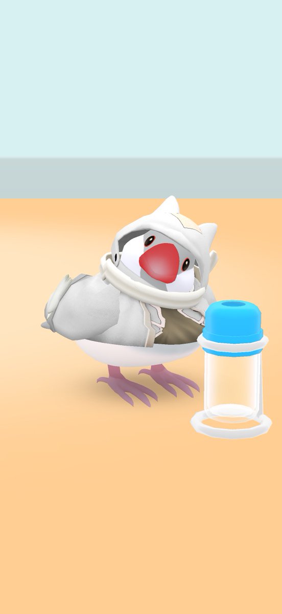 チリ 0歳0ヶ月29日
本日のベストショット📷🍀
#しあわせ文鳥LIFE #文鳥 #文鳥のいる生活