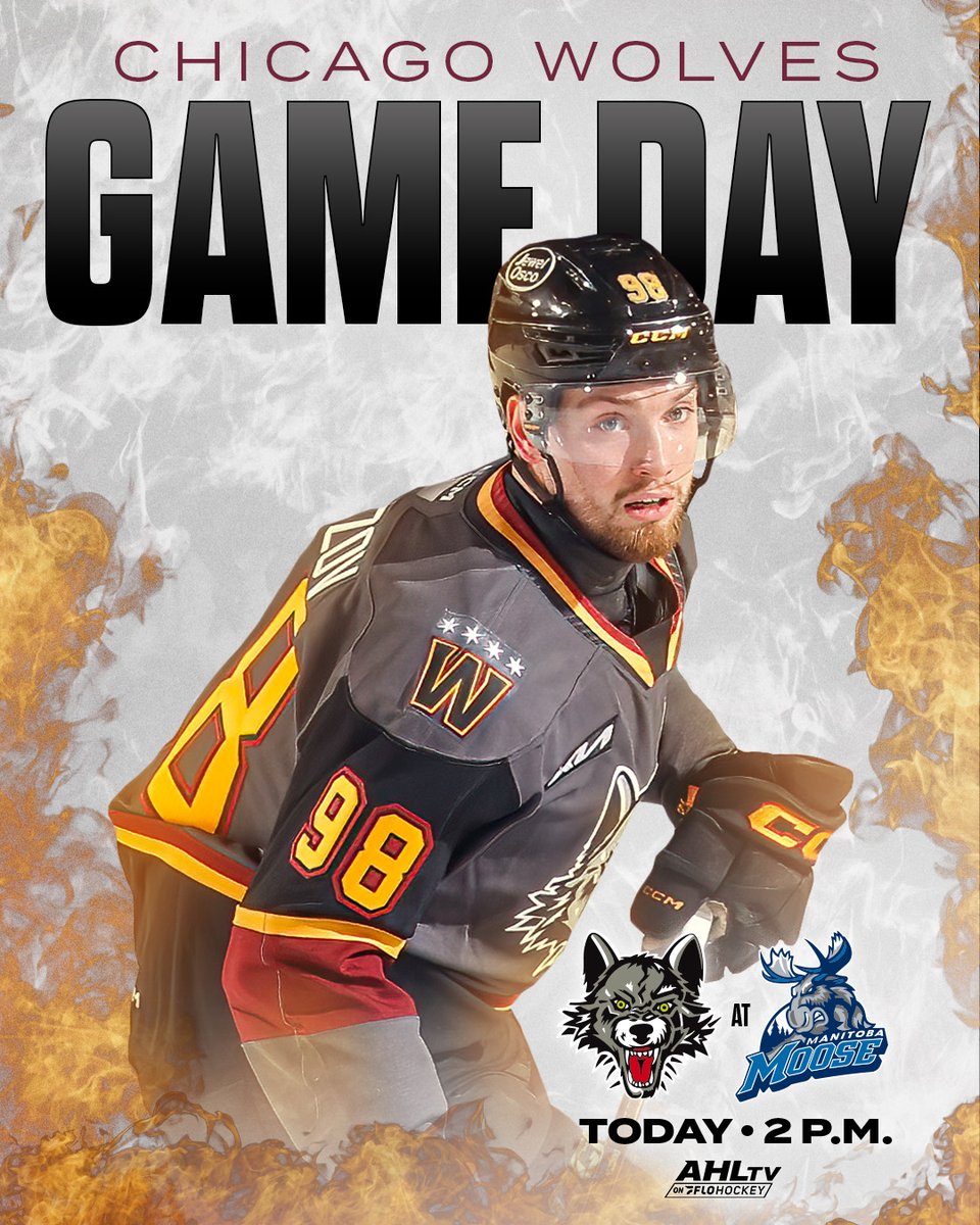 Chicago_Wolves's tweet image. Midday with the Moose. Meese? Mooses?