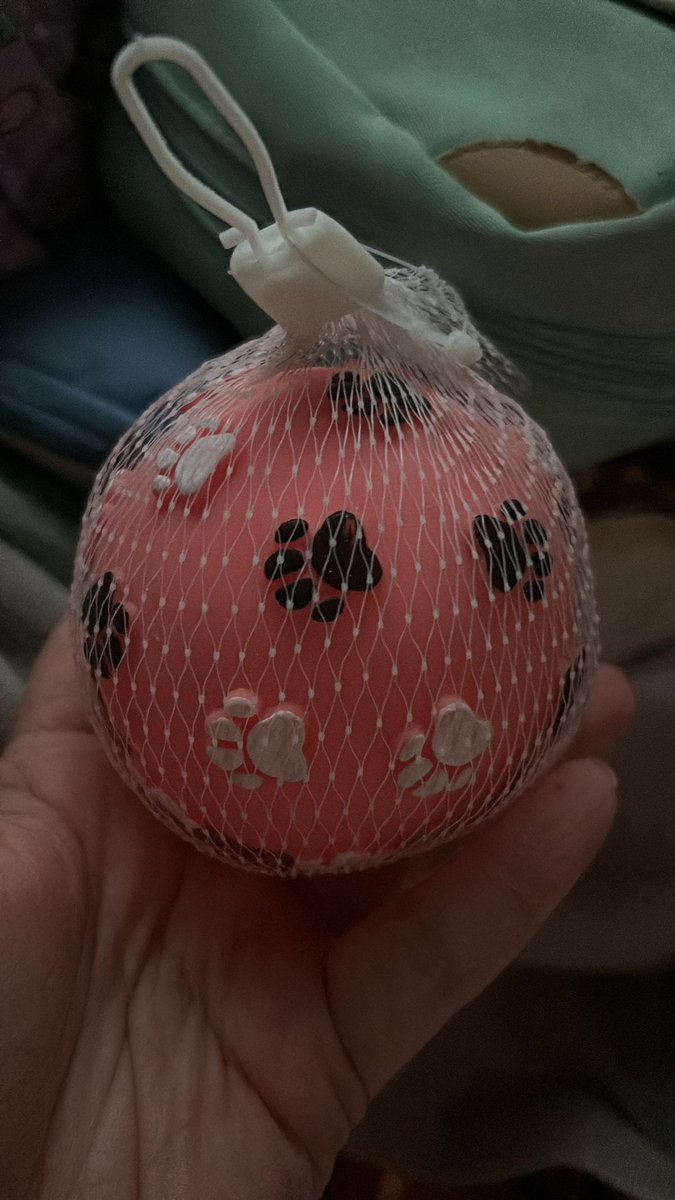 4zlp69FP4c93687's tweet image. 今日が楽しみすぎで寝れない🤣絶対号泣しちゃうんだろうなぁ🤭