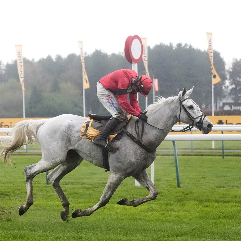 AtTheRaces's tweet photo. "They are special moments!"

Grey Dawning and an ice-cool Harry Skelton gained Betfair Chase revenge on last year’s winner Royale Pagaille...