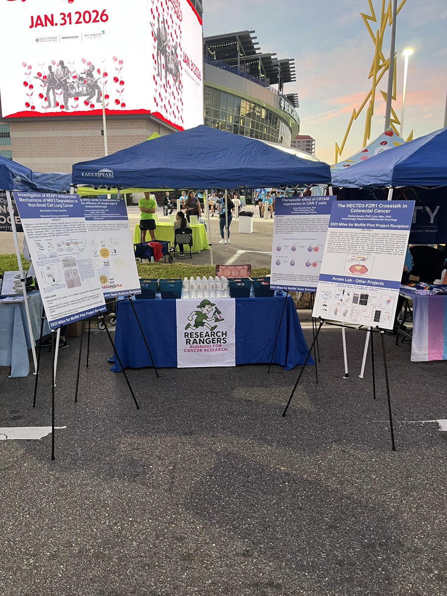 Elsa Renee Flores tweet media