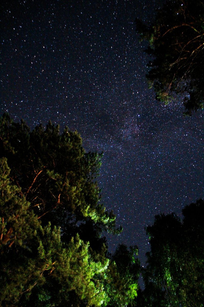 uhd2020's tweet image. Stars