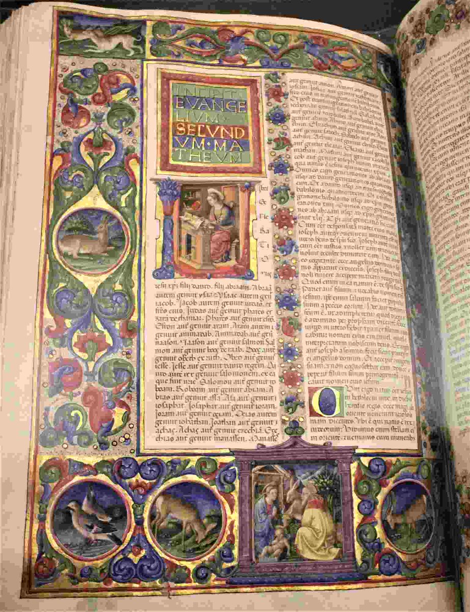 Fausto Nati tweet media