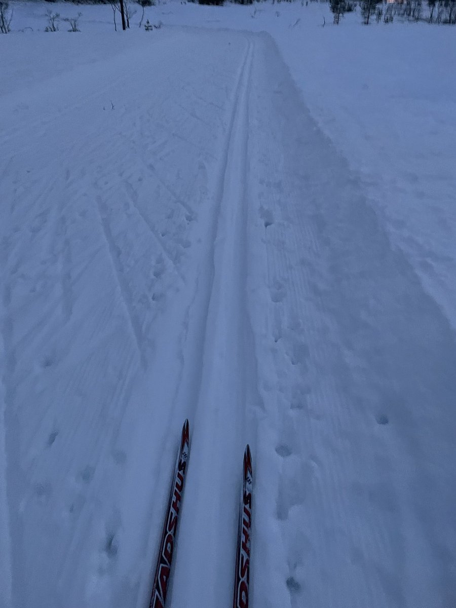 l_artin's tweet photo. Sesongens første. Trått og bløtt føre, men fikk pina meg gjennom 8km på 45 min. Kan bare gå oppover fra nå! https://t.co/qbwjArozPW