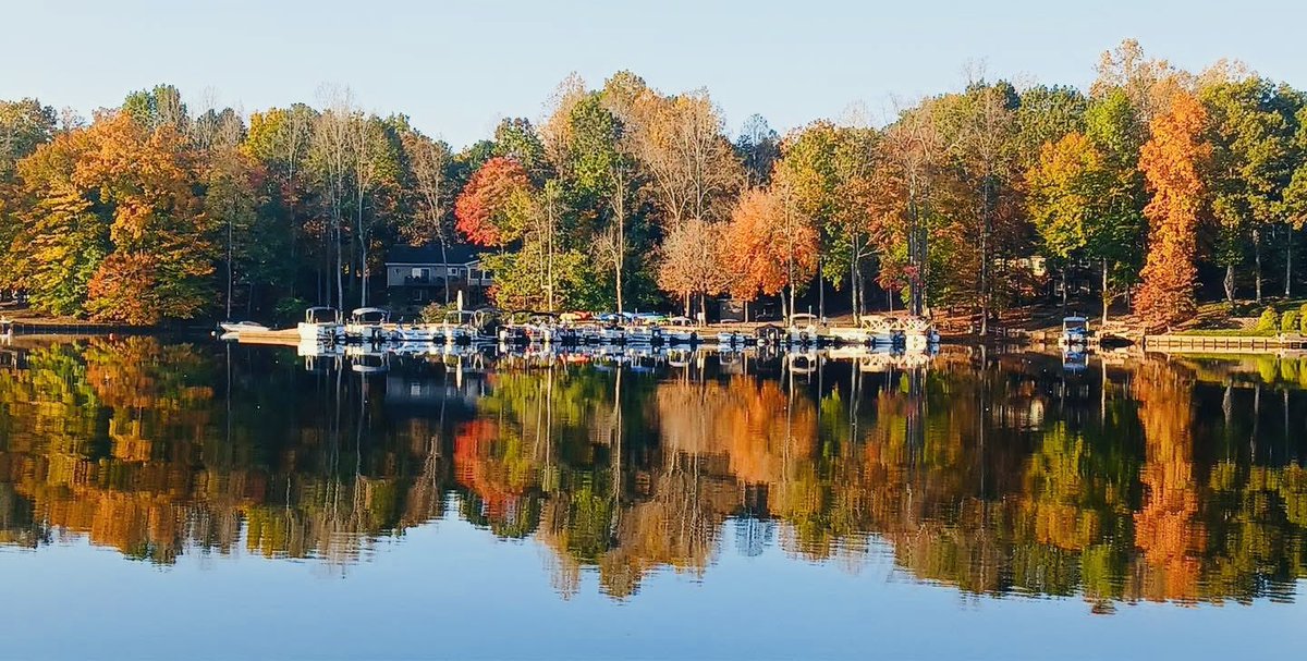 JoshFitzWx's tweet image. A placid Lake Monticello in Fluvanna County, Virginia is more like a mirror, reflecting fall foliage when it was at its peak. 🍂🪞🍁