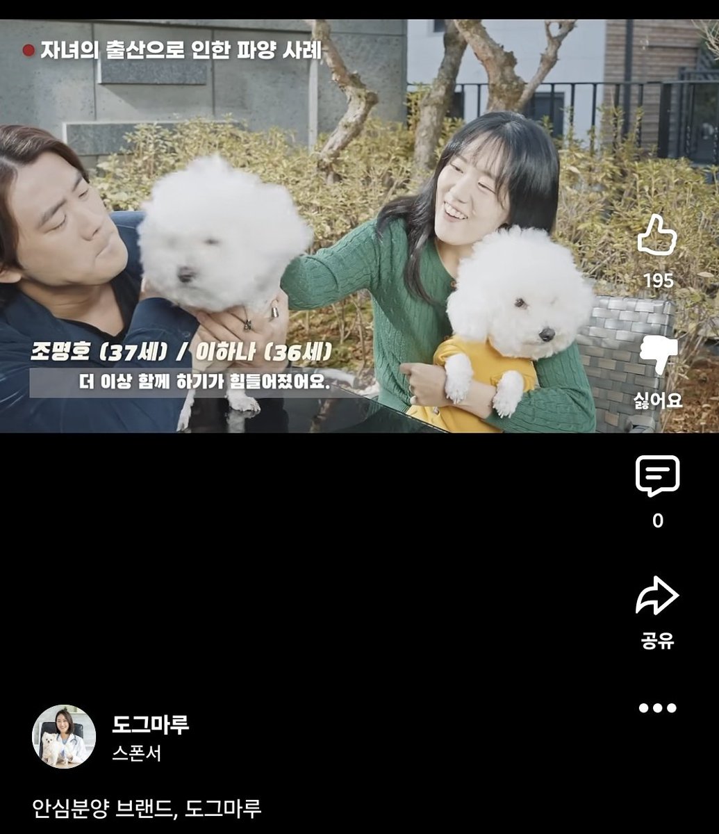 rangboys's tweet image. 도그마루 이 씹새들이... 내 쇼츠 광고에 파양광고를 띄우네 처돌았나