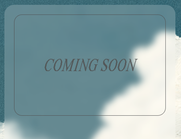 Flare ☀️ tweet media