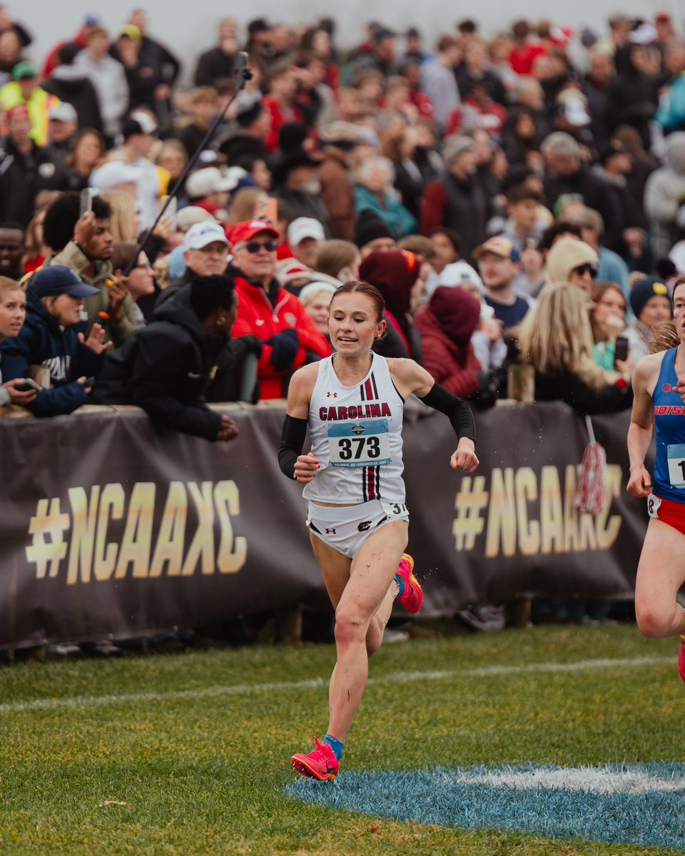 South Carolina Track & Field/Cross Country tweet media