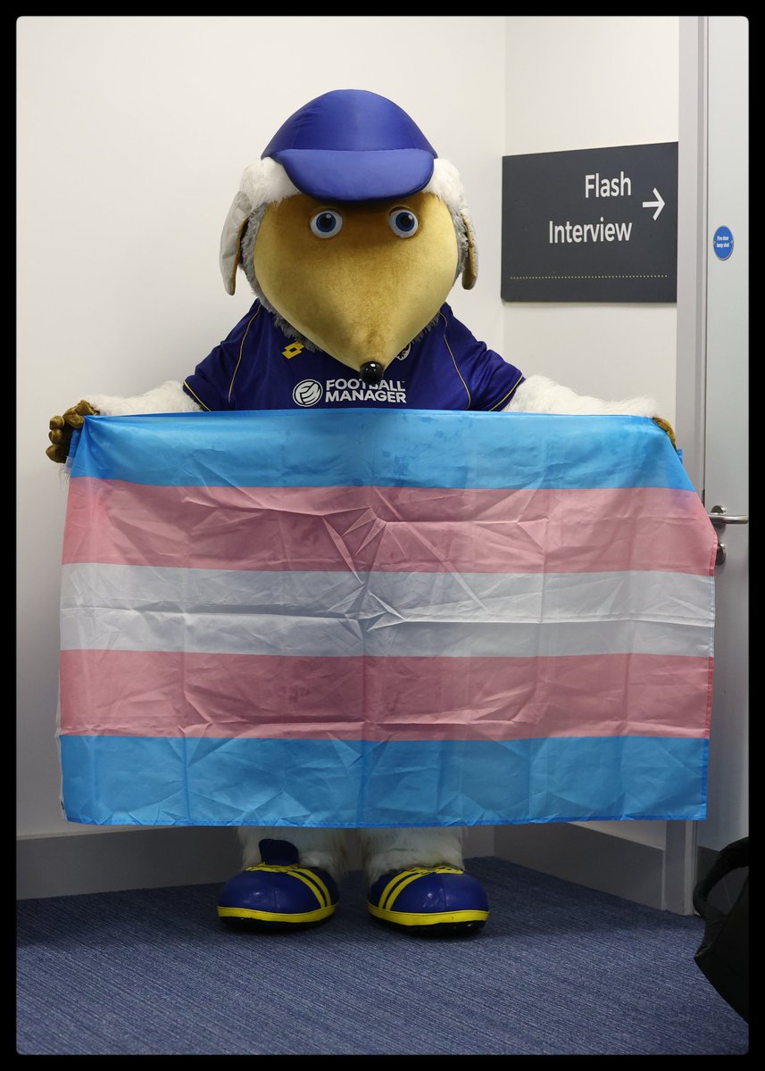KirkPritchard1's tweet image. @HaydontheWomble support #TransAwarenessWeek