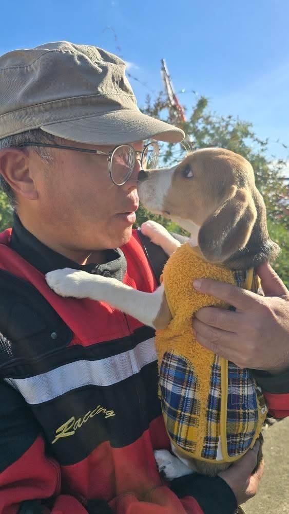 5RGqDpCgJqFjWDH's tweet image. ４ヶ月ですって(*´艸`*)♡

#CCC🌭 の『ベリー』ちゃん