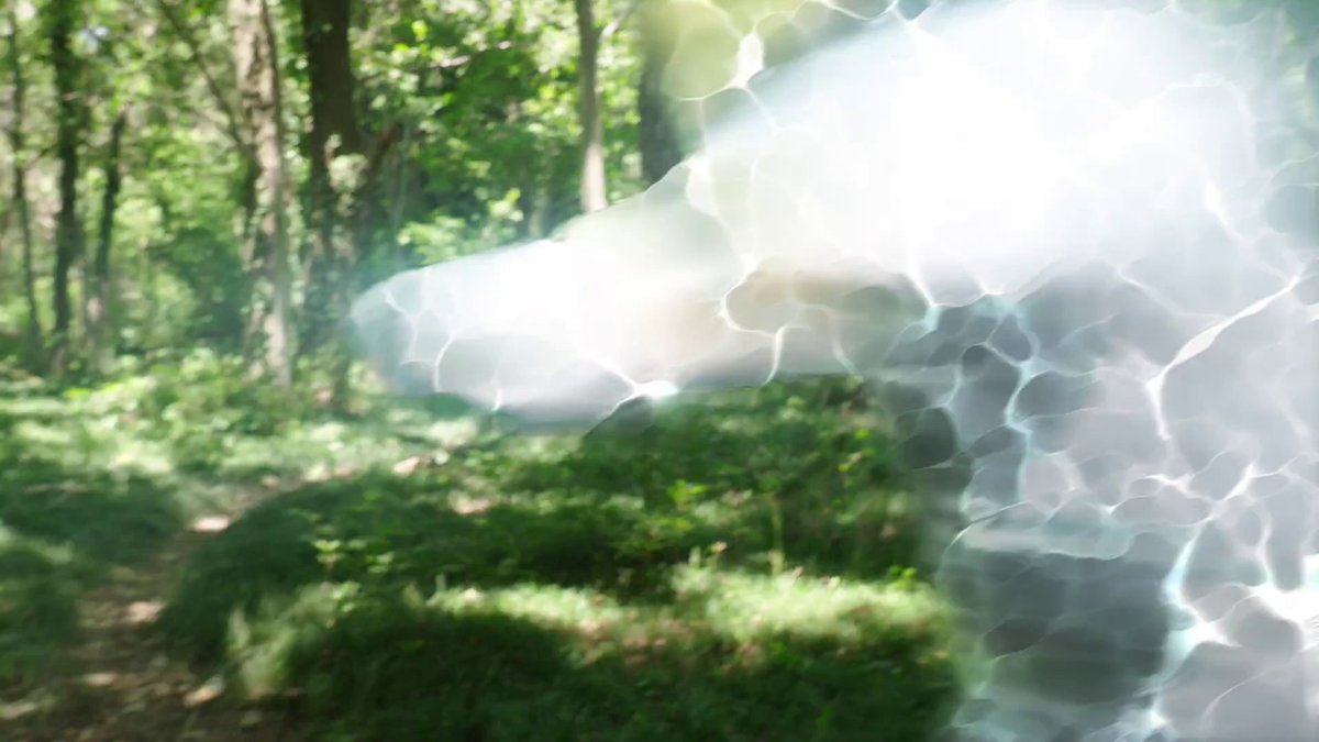 arditoAW's tweet image. That log isn&apos;t even in perfect circle lmao