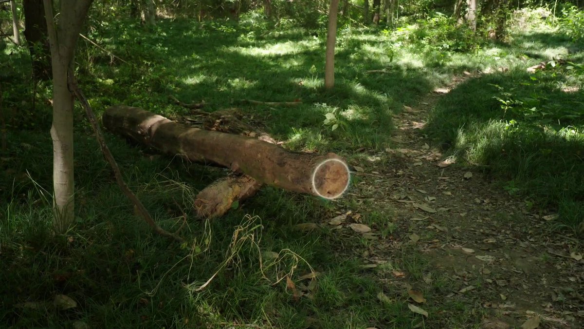 arditoAW's tweet image. That log isn&apos;t even in perfect circle lmao