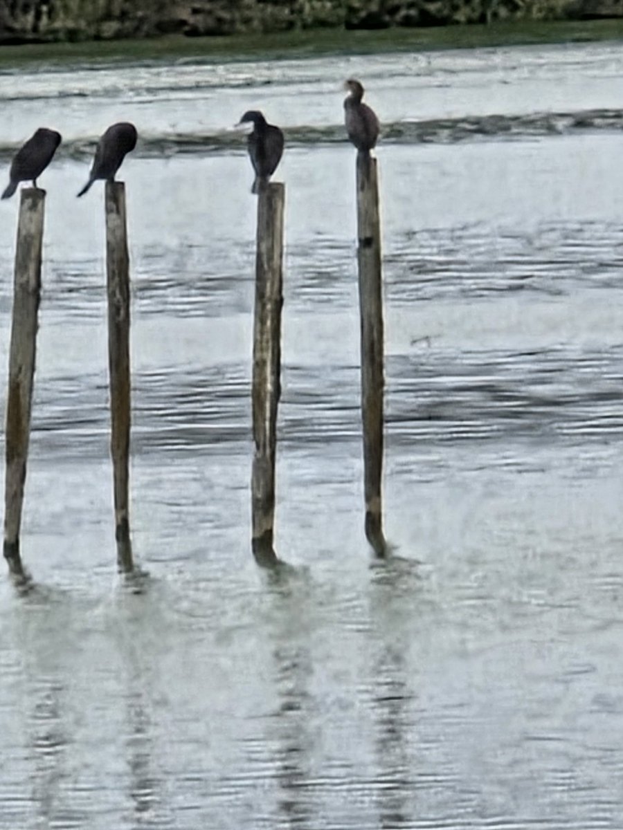 Where will you be in 3 years?  I'm helping people to have an increase in their income.  DM  for more information.