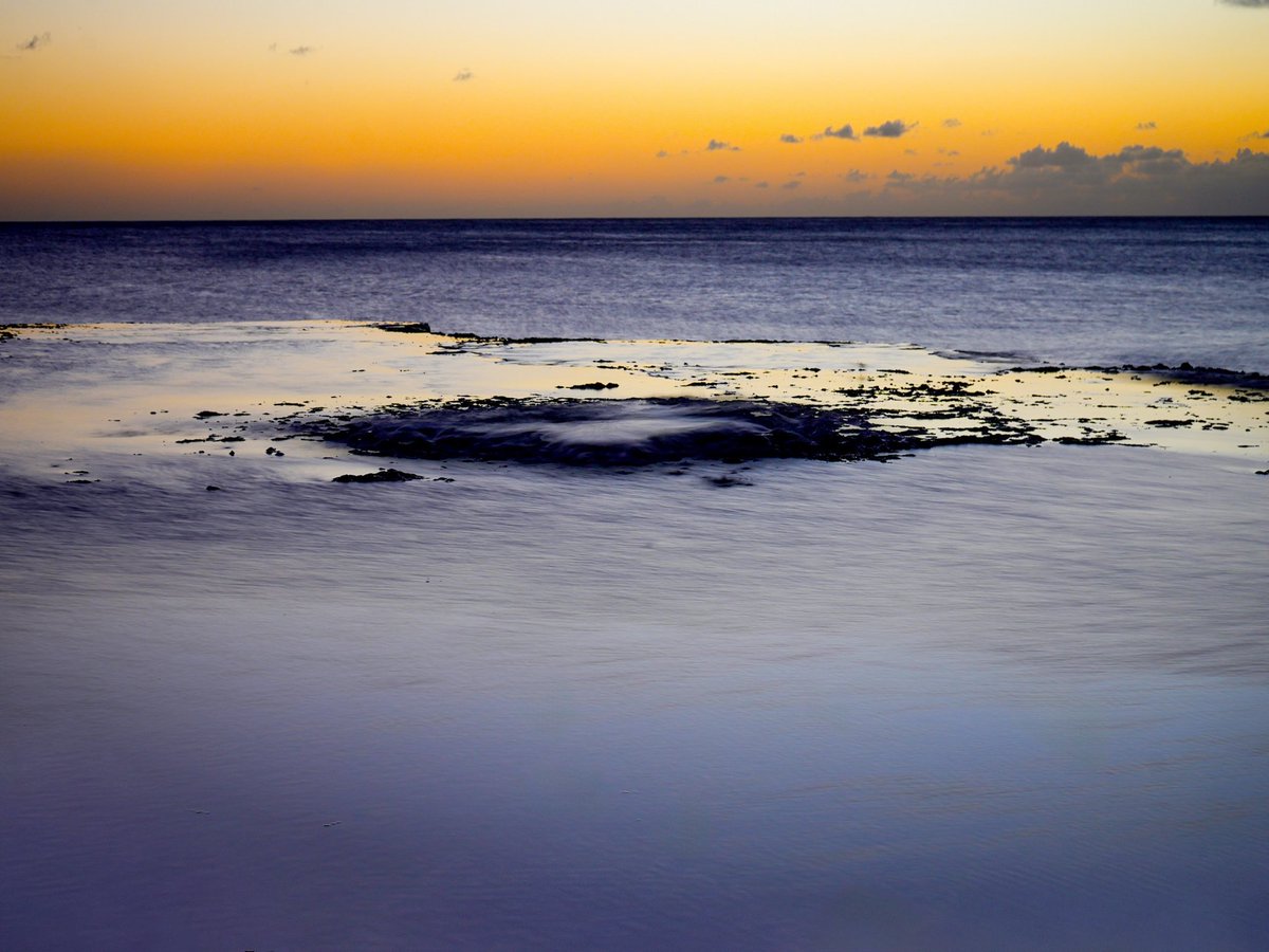 I hope you have a wonderful Saturday. Aloha!