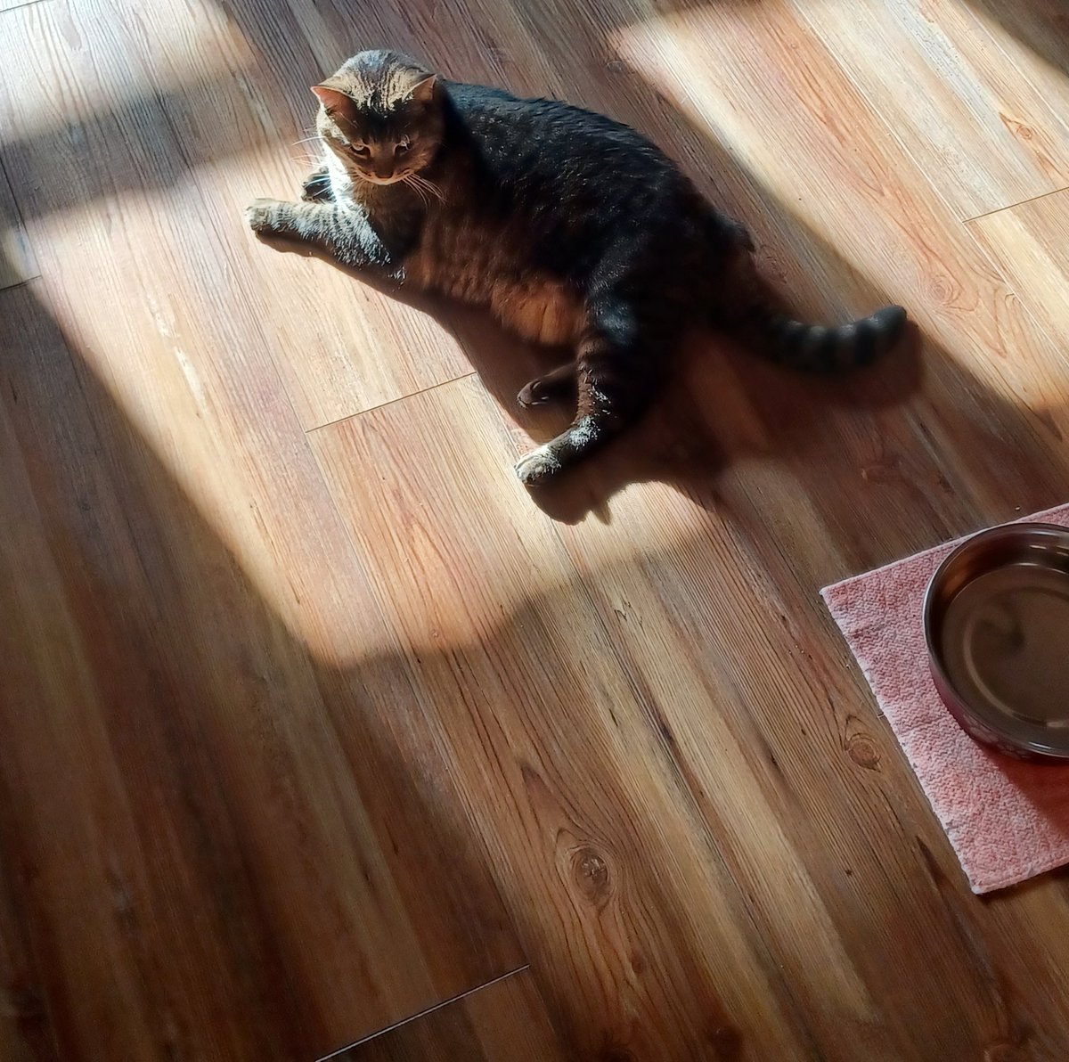 MadplotWriter's tweet image. 