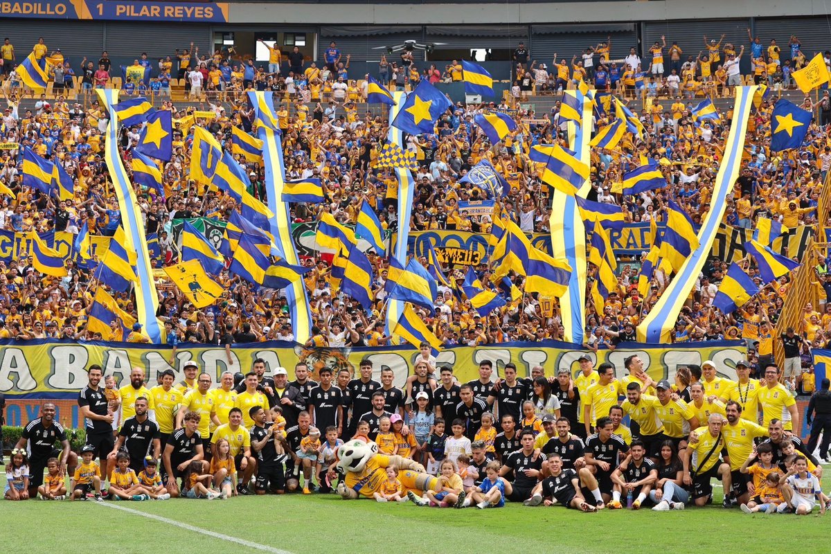 Adrian Cerda tweet media