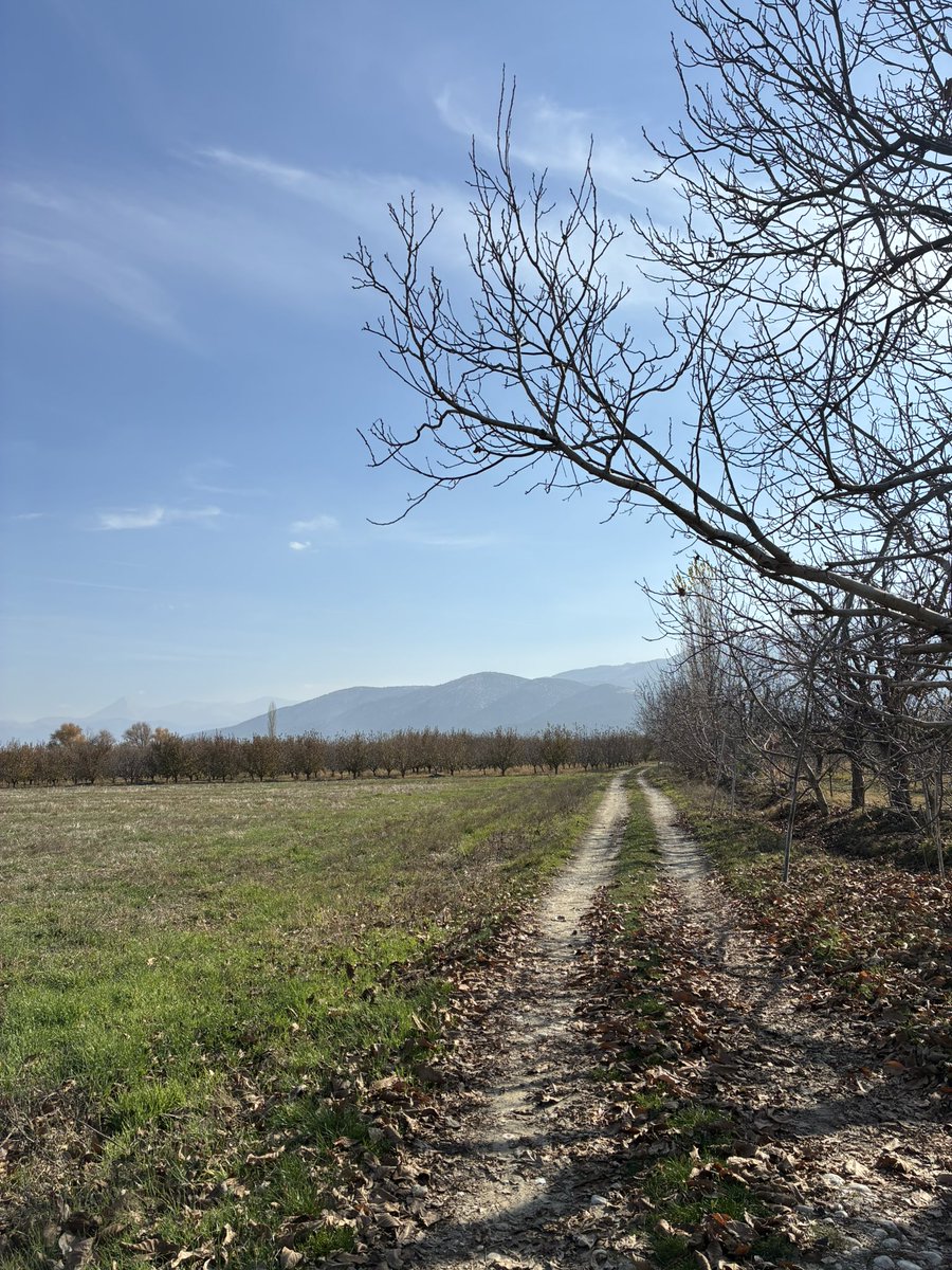 pixierunnerx's tweet image. En sonuncu kendime migrostan çiçek 😂 #runningviews #views #mountains