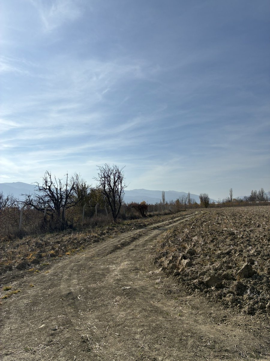 pixierunnerx's tweet image. En sonuncu kendime migrostan çiçek 😂 #runningviews #views #mountains