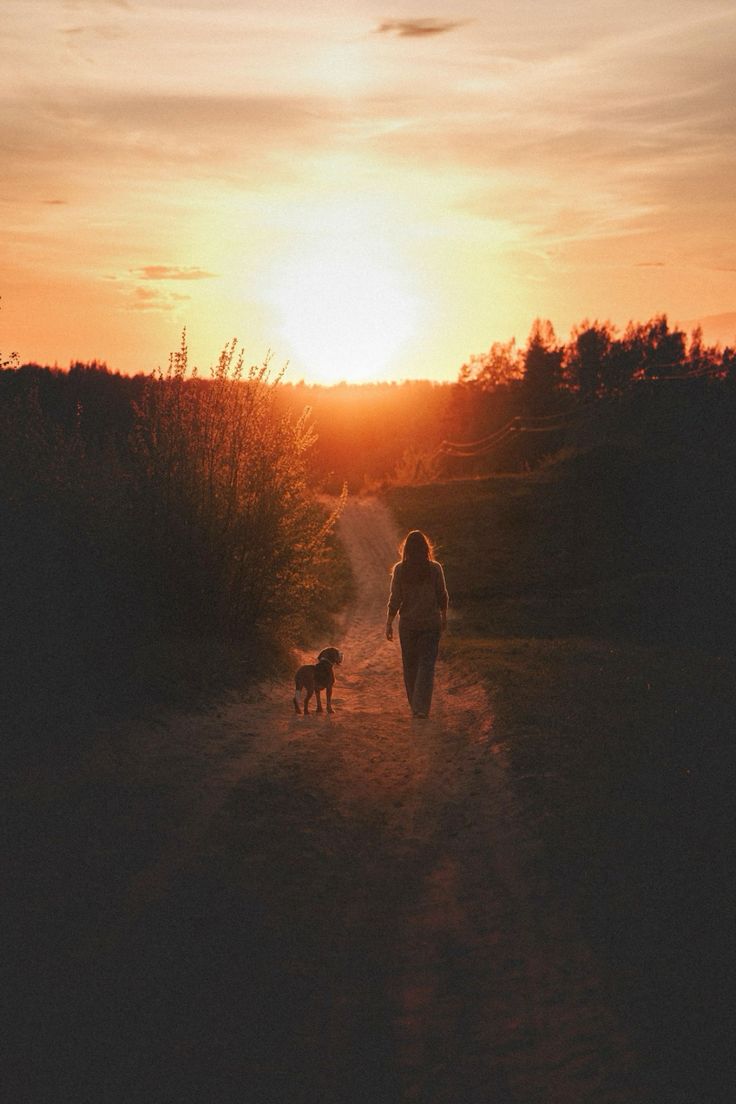 _Angel108's tweet photo. We attract into life everything we think about🧲🙏

🎵 Ludovico Einaudi — Life https://t.co/C096w7tK5P