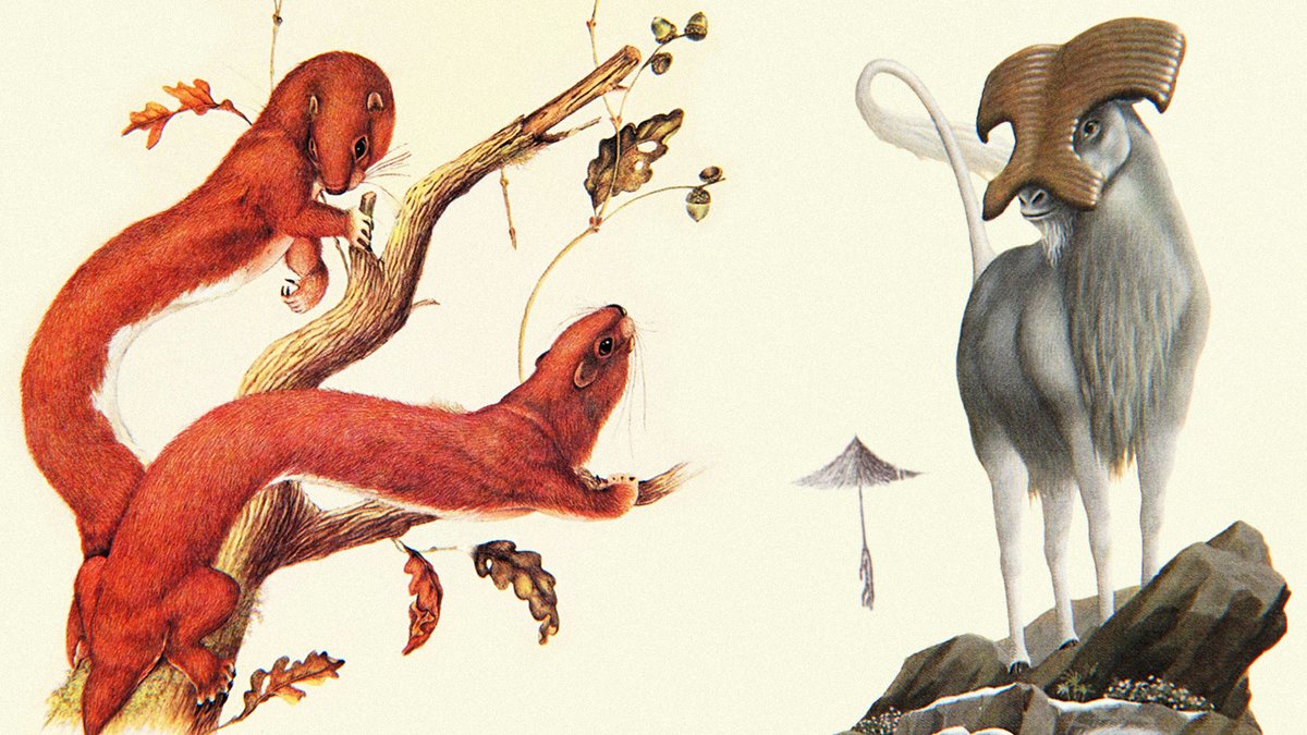 🍂🐿️ NOUVELLE VIDÉO 🐐🌿
Exploration du monde d'After Man et des animaux imaginaires qui l'habitent (pur cinéma)
>> youtu.be/7mqnggRjfLg <<