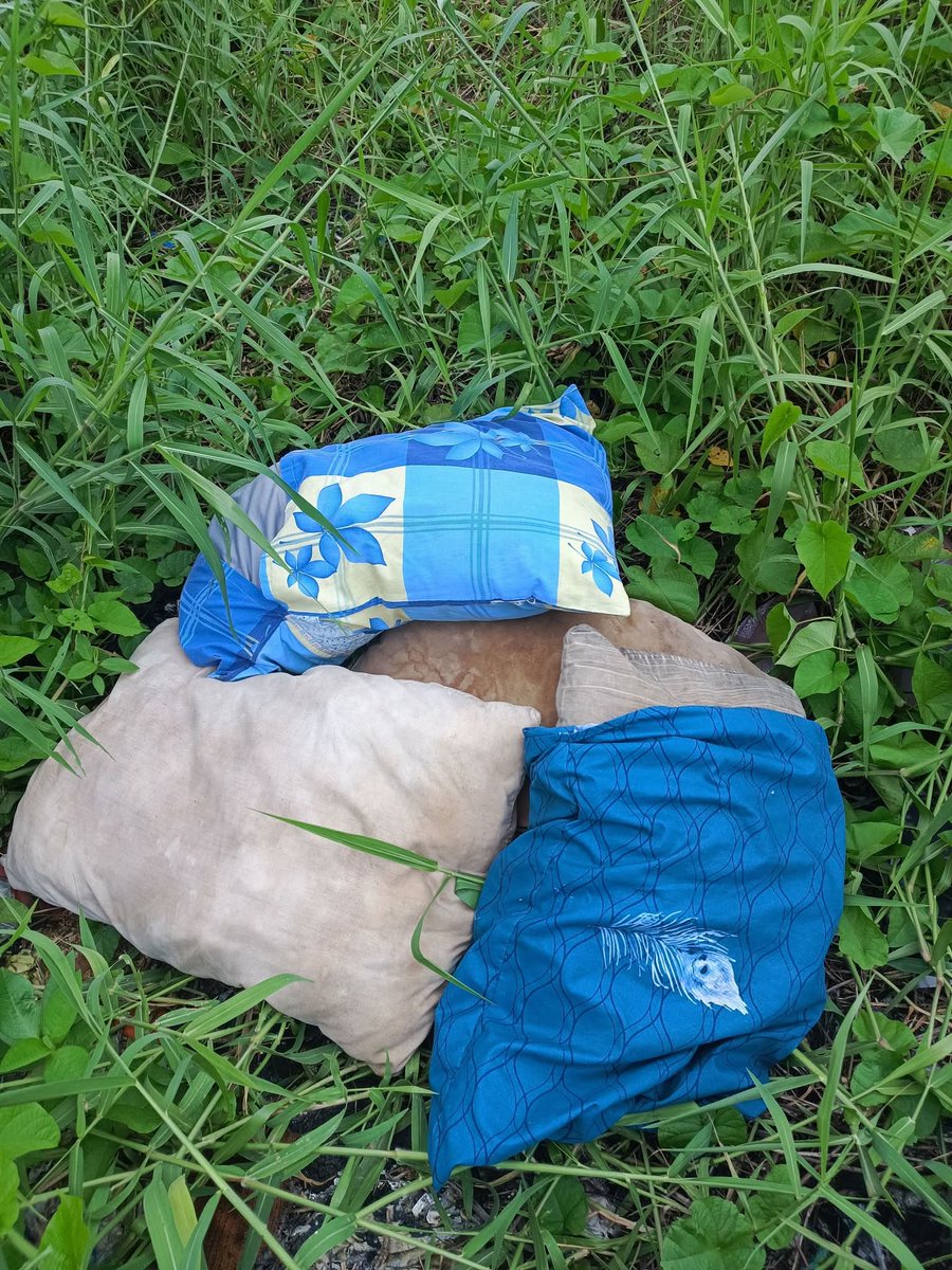 Triple SSS (@sulee2223) on Twitter photo 