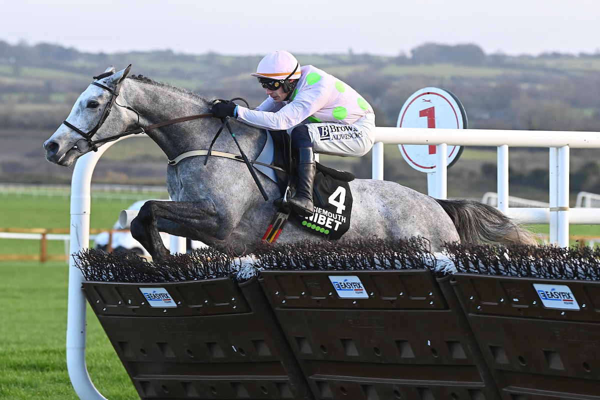 Lossie 😍

📸: <a href="/patcashhealy/">Pat Healy</a>