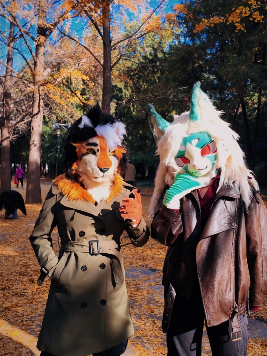 Little_Aardwolf's tweet photo. Autumn 🍂

#fursuit #furry #fursuiting #fursuitfriday https://t.co/9BRv5UyvSL