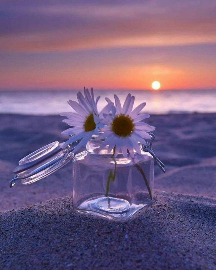 ♥️💫🌹

*خذها نصيحه اربعة اشياء في حياتك لا تكسرها :*
*"الثقة - الوعد - الصداقة - القلب"*
*لانها حين تنكسر لا تصدر صوتا*
*و لكنها تحدث الكثير من الألم*💜

♥️💫🌹