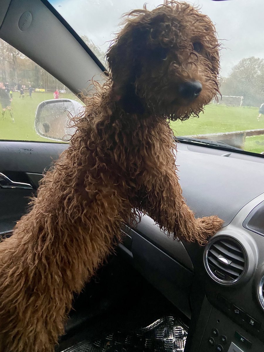 GWS football & Short Stories tweet media