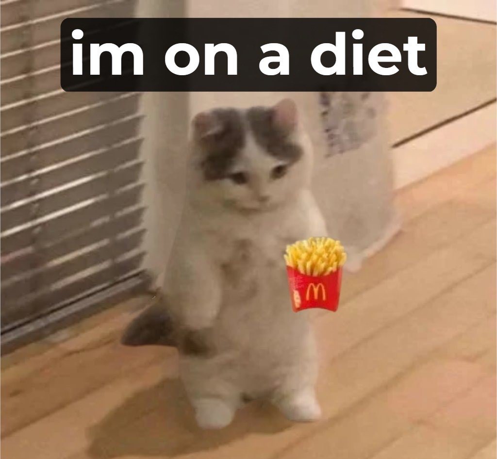 michionsolana's tweet image. gmichi