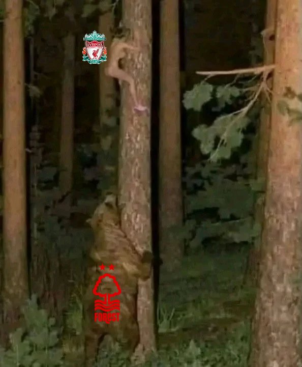 Liverpool trying to escape from the forest.