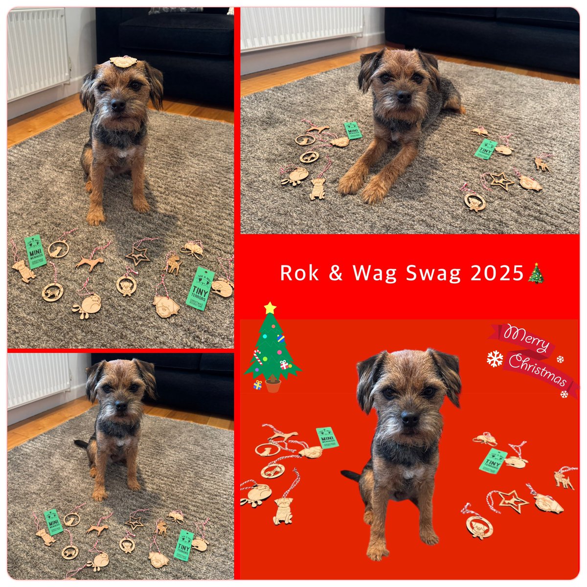 MrSebBT's tweet image. It’s beginning to look a lot like Kissmas🎄 love my new @RokAndWag swag #btposse