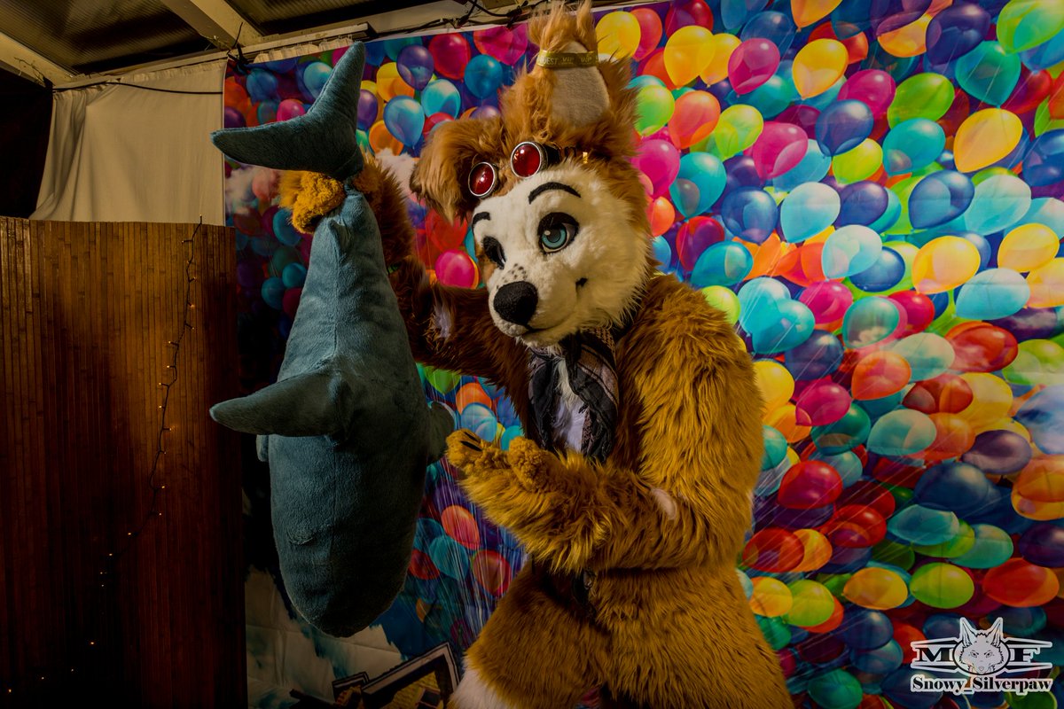 RoshyRumble's tweet image. For this weekend...i give you this fish that i clearly not stole from Sparkles! And @Snowy_Silverpaw did that photo as a proof that i didn&apos;t stole anything during Lübecker Furdance2 😅🐕🐾

#furry #fursuit #fish #dog #weekend #dogsareallinnocent