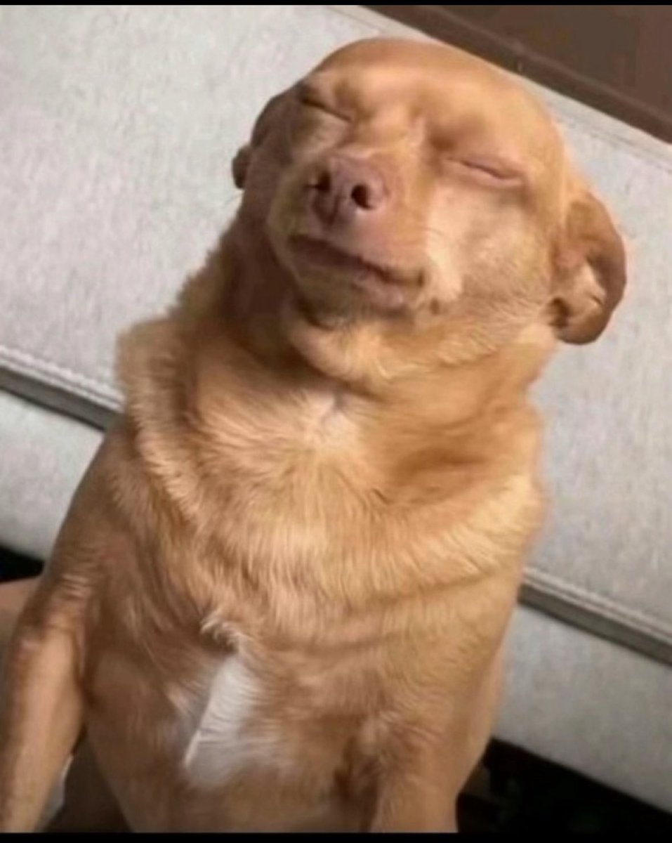 When is the next international break .