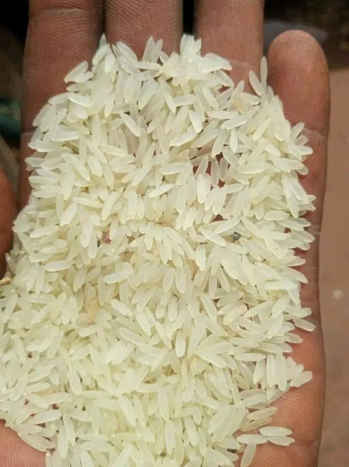 dedamz_'s tweet photo. Festive season 
Rice Available for Sale! 
🍚 50kg Bag, Price: ₦65,000
🚚 Delivery: ₦5,000

🍚 25kg Bag, Price: ₦40,000
🚚 Delivery: ₦5,000

📍 Fast delivery | Quality assured
📩 Send me a message to place your order! https://t.co/p991jhYLrn