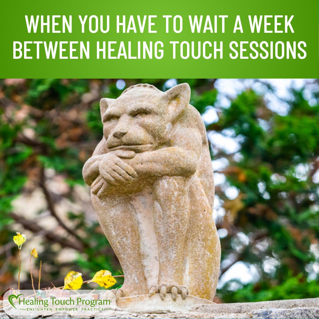 HTProgram's tweet image. That face you make when you have to wait a whole week between Healing Touch sessions. 😩
Energy fields have feelings too. 💚
#HealingTouchProgram #EnergyHealing #HolisticWellness